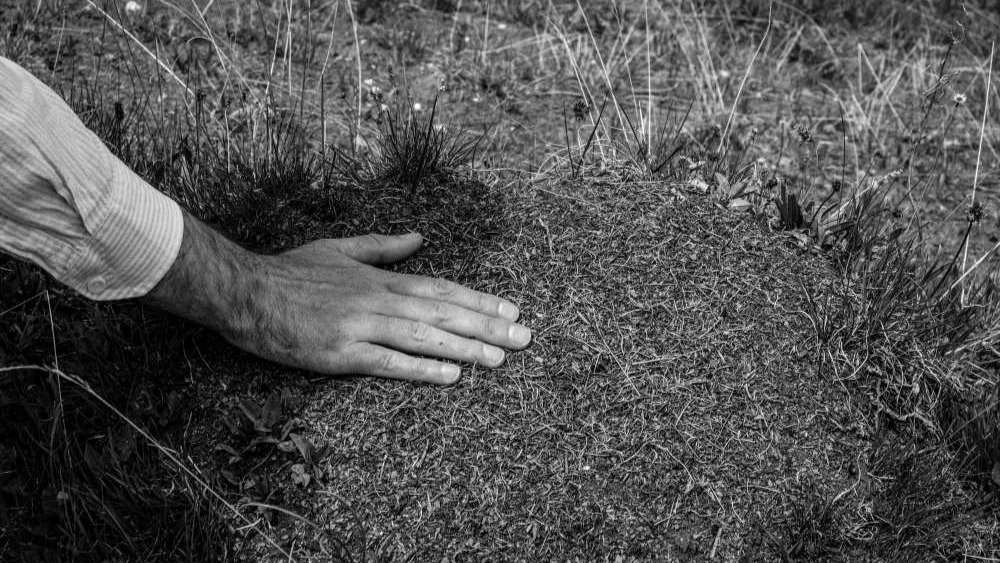 İstanbul Ağustos Ayı Etkinlikleri