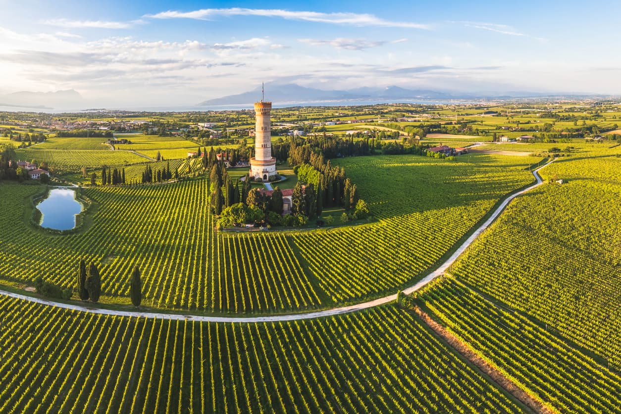 Köpüklü Şarabın En Zarif Hali: Franciacorta