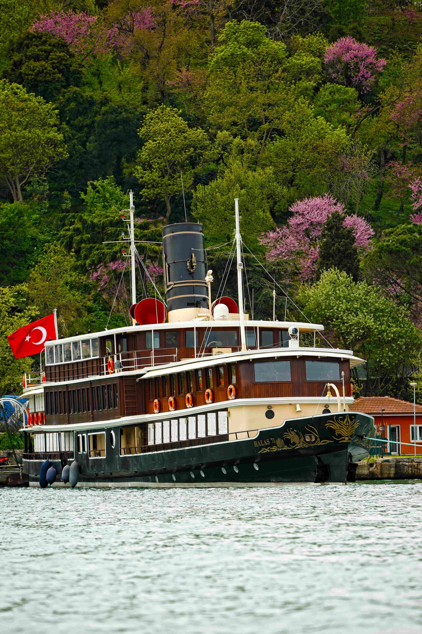 Yüzyıllık Miras: M/Y Halas 71