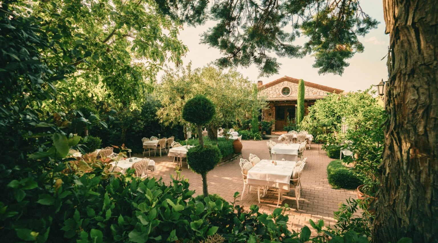 Seray And Ozan Kumbasar’s Vino Locale Journey