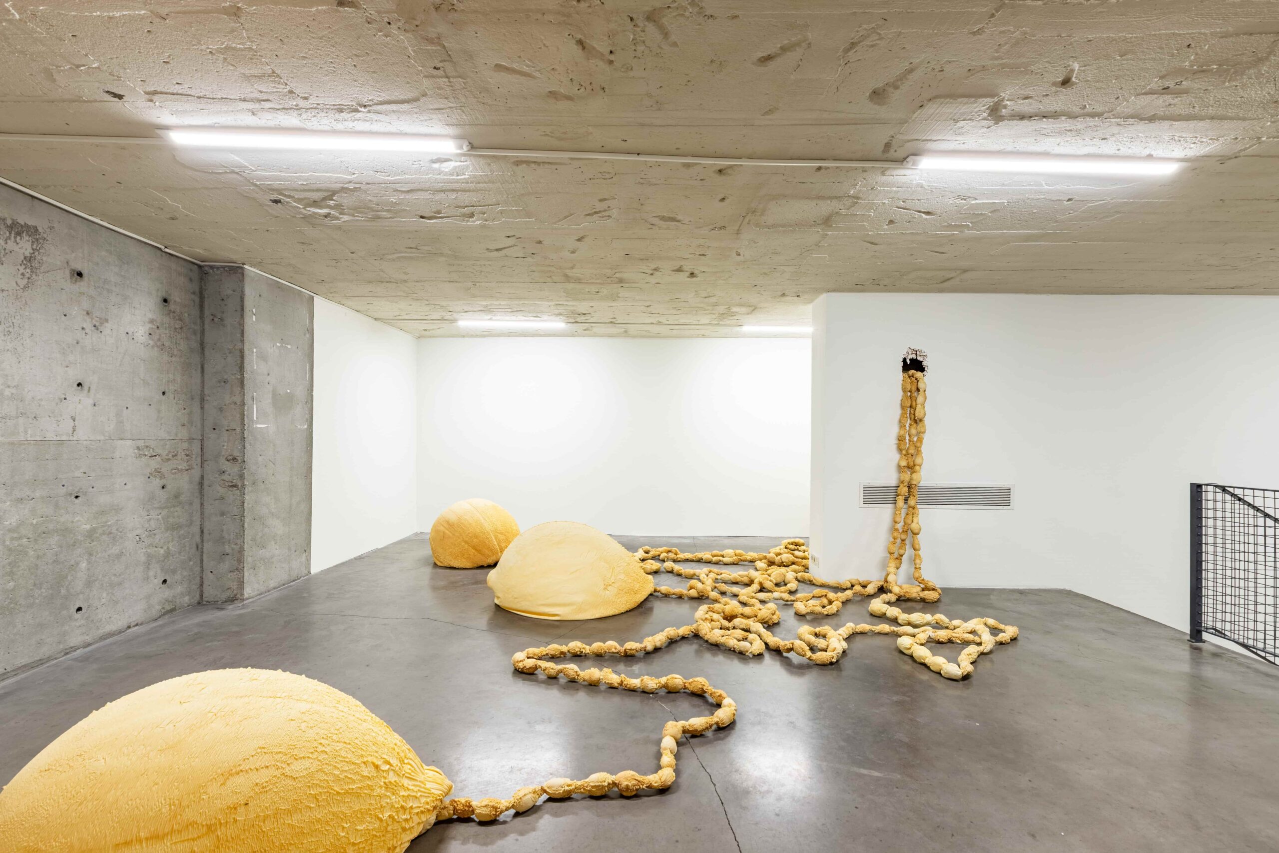 18Th Istanbul Biennial: Artists You Must See