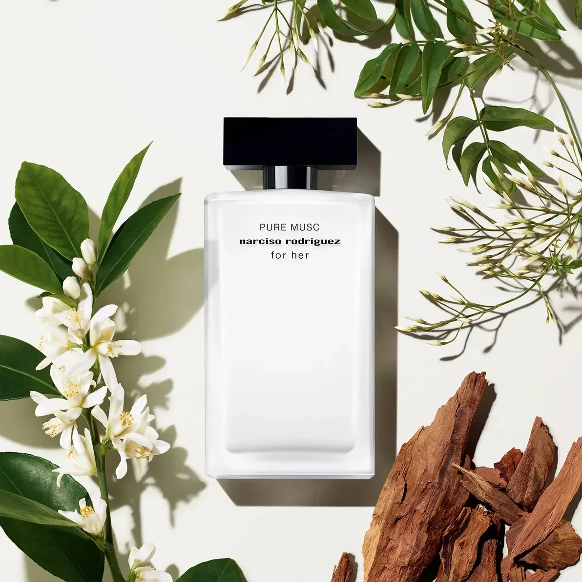 Yıldızların Kokusu: Burçlara Göre Parfüm Önerileri Yıldızların Kokusu: Burçlara Göre Parfüm Önerileri