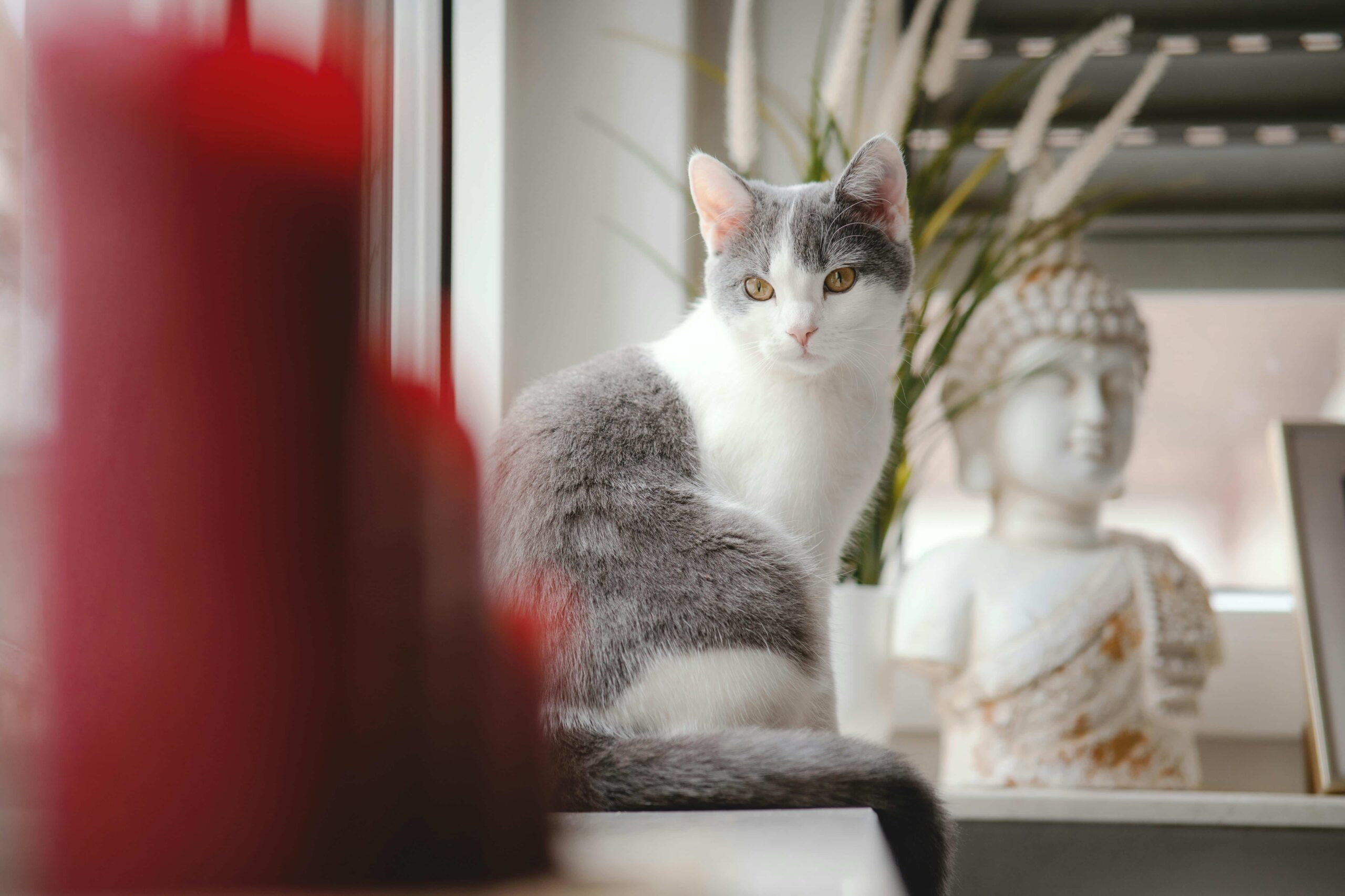 7 Adımda Evinize Sanat Eseri Seçme Rehberi