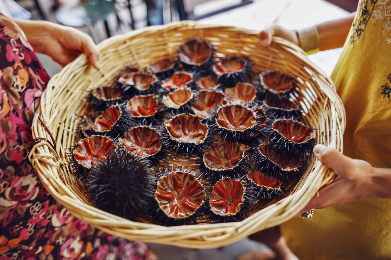 The Best Time To Visit Bozcaada