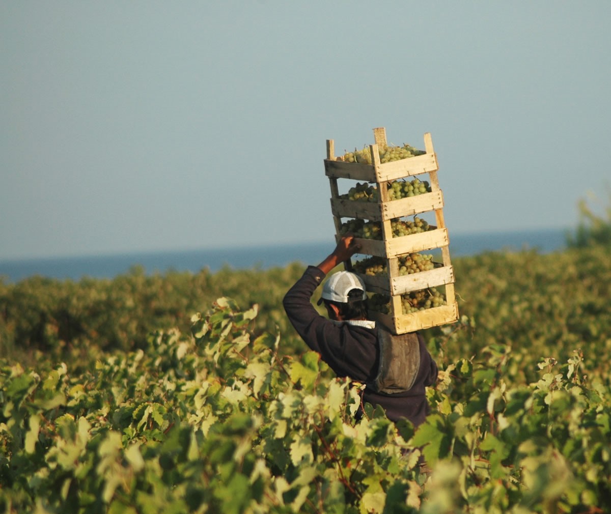 The Best Time To Visit Bozcaada