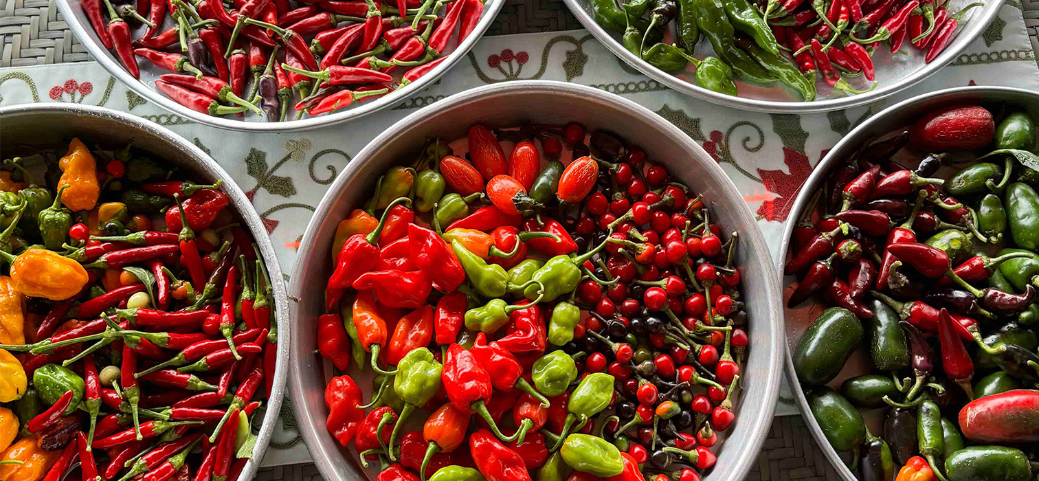 Hem Leziz Hem Yenilikçi: Çok Acı Olmuş