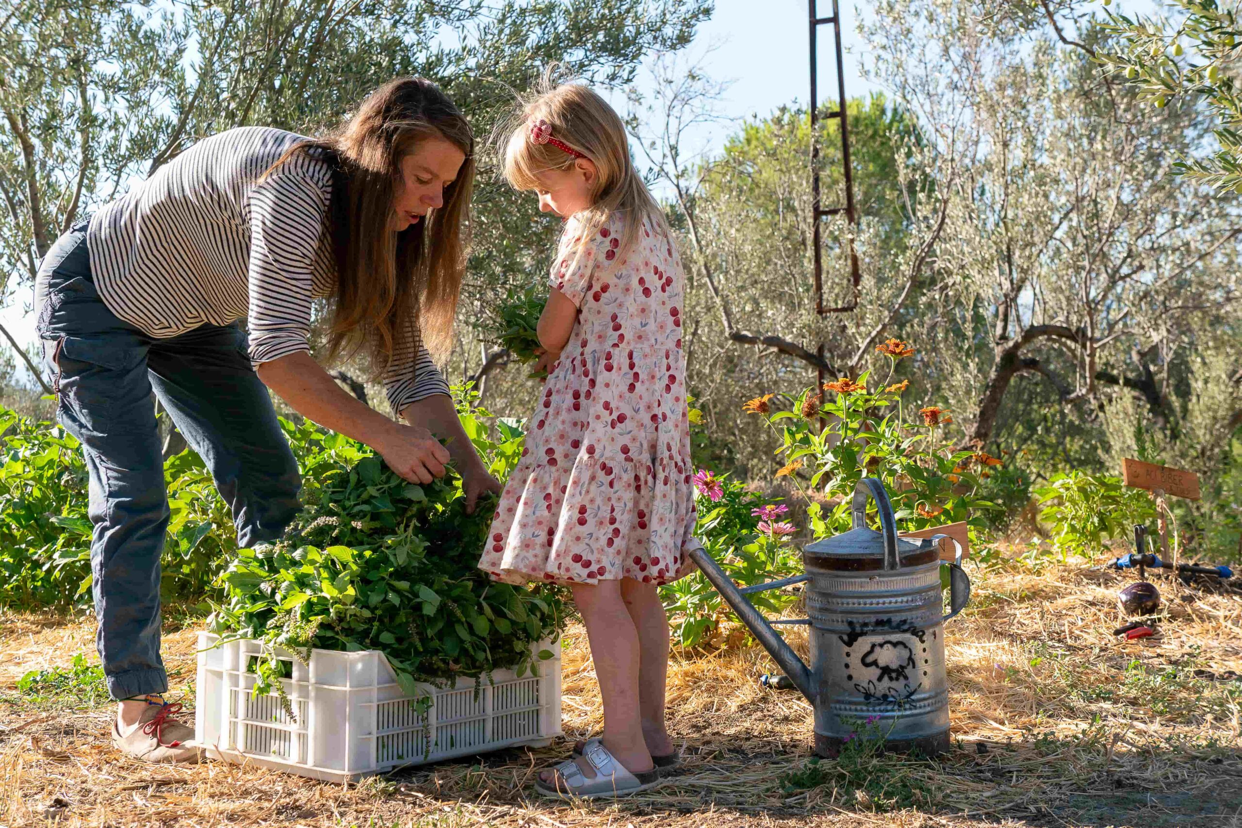 Kazdağları’nda Doğayla İç İçe Bir Yaşam: İdamera