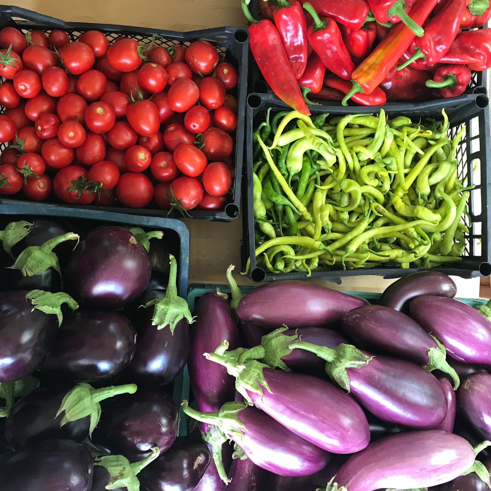 Adanın Özeti: Maya Bozcaada