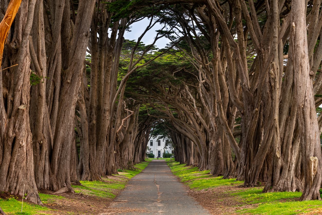 Şehirden Kaçış: Sessiz Rotalar