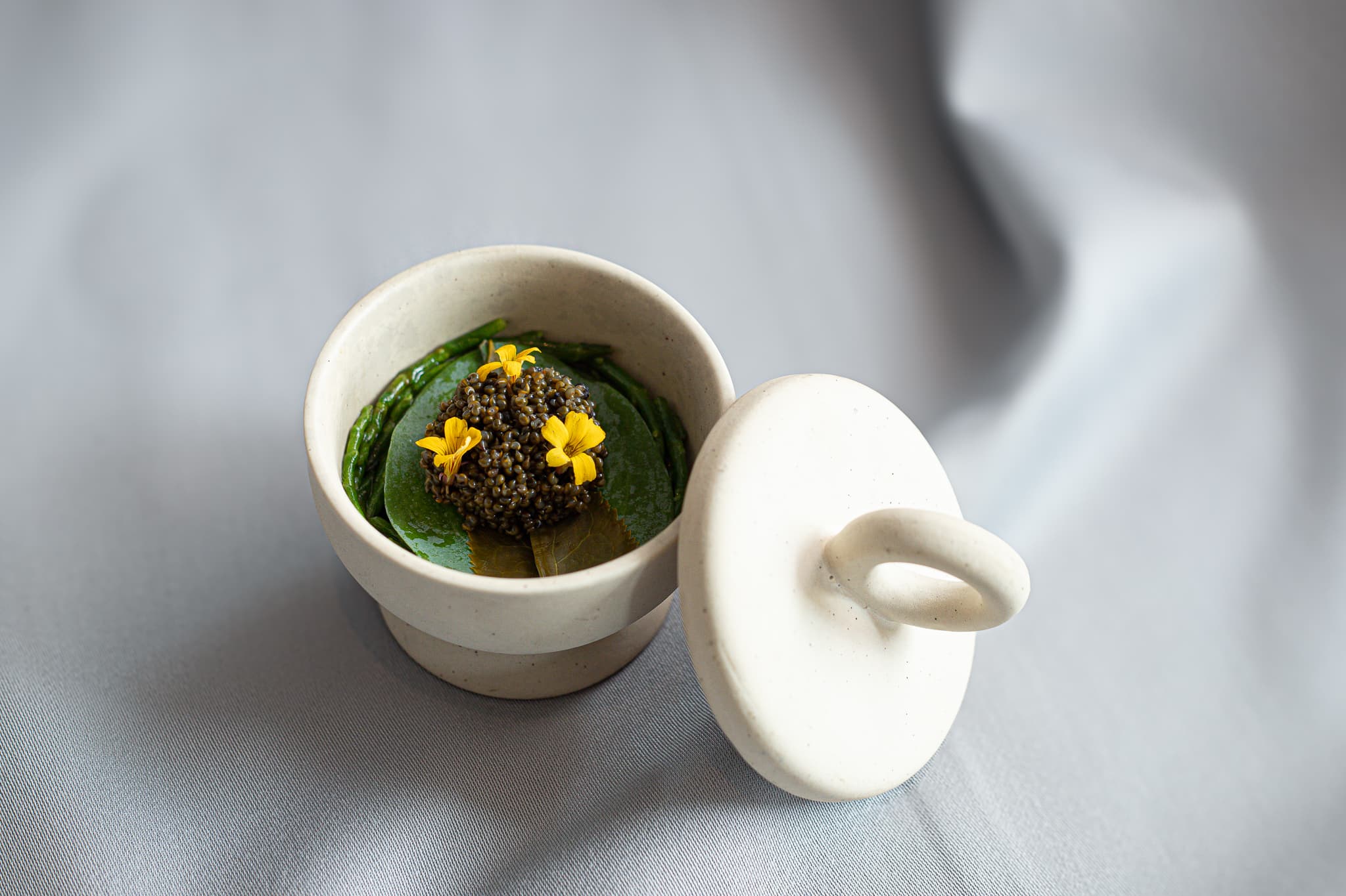 Veganlıkla İlgili Merak Edilenler