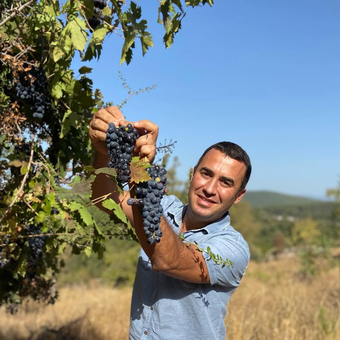 2025 Bağbozumu Panoraması 2025 Bağbozumu Panoraması