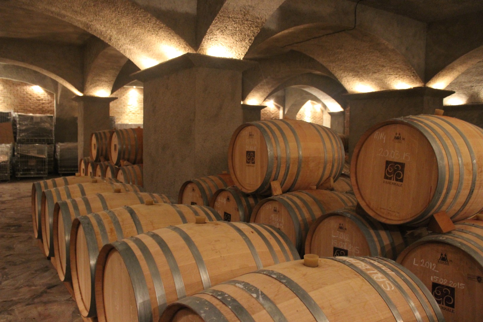 2025 Bağbozumu Panoraması 2025 Bağbozumu Panoraması