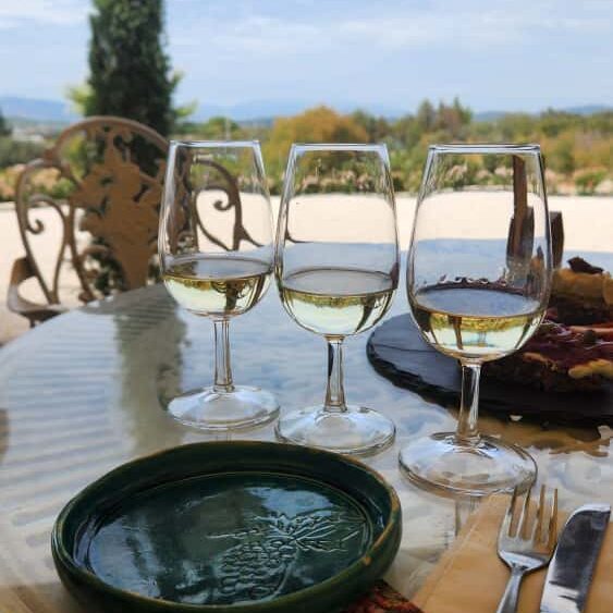 2025 Bağbozumu Panoraması 2025 Bağbozumu Panoraması