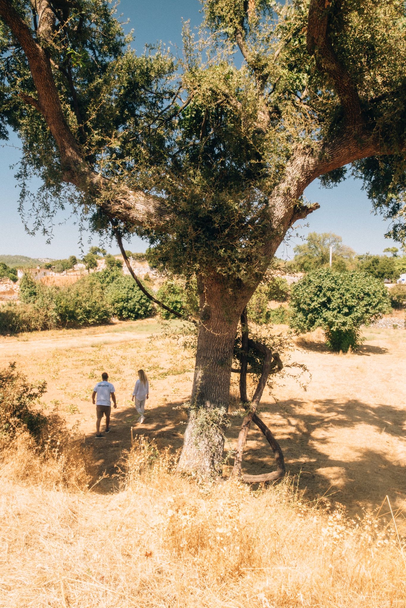 From Orfoz to Neferiye with Çağlar Bozçağa From Orfoz To Neferiye With Çağlar Bozçağa