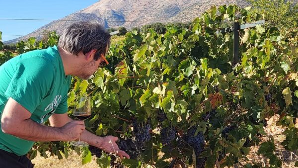 2025 Harvest Panorama 2025 Harvest Panorama