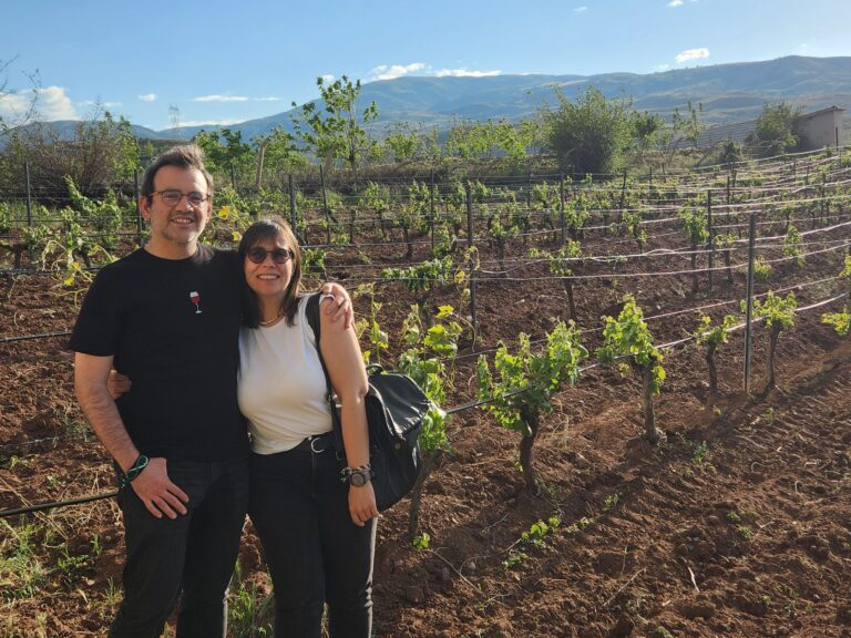 2025 Harvest Panorama 2025 Harvest Panorama