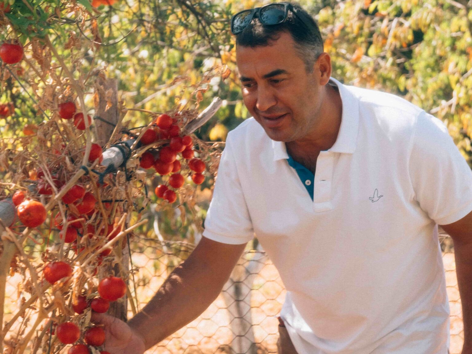 From Orfoz to Neferiye with Çağlar Bozçağa From Orfoz To Neferiye With Çağlar Bozçağa