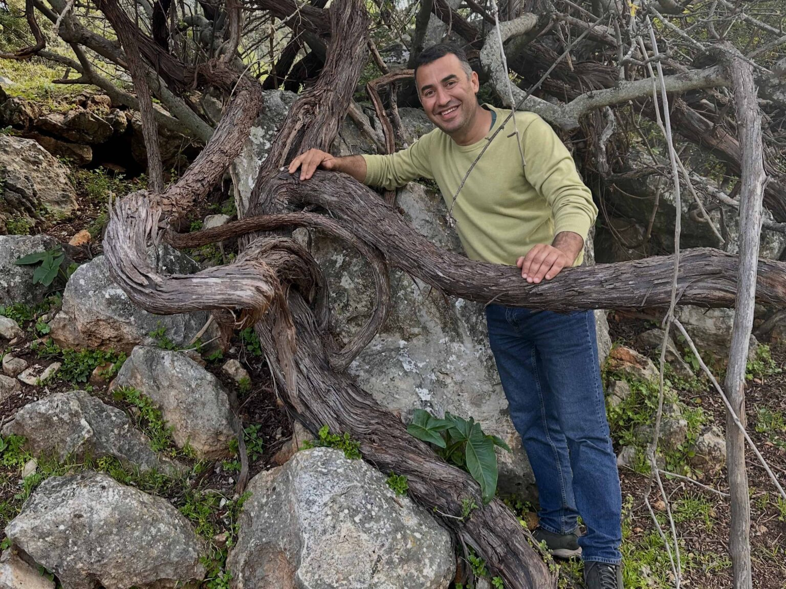 From Orfoz to Neferiye with Çağlar Bozçağa From Orfoz To Neferiye With Çağlar Bozçağa