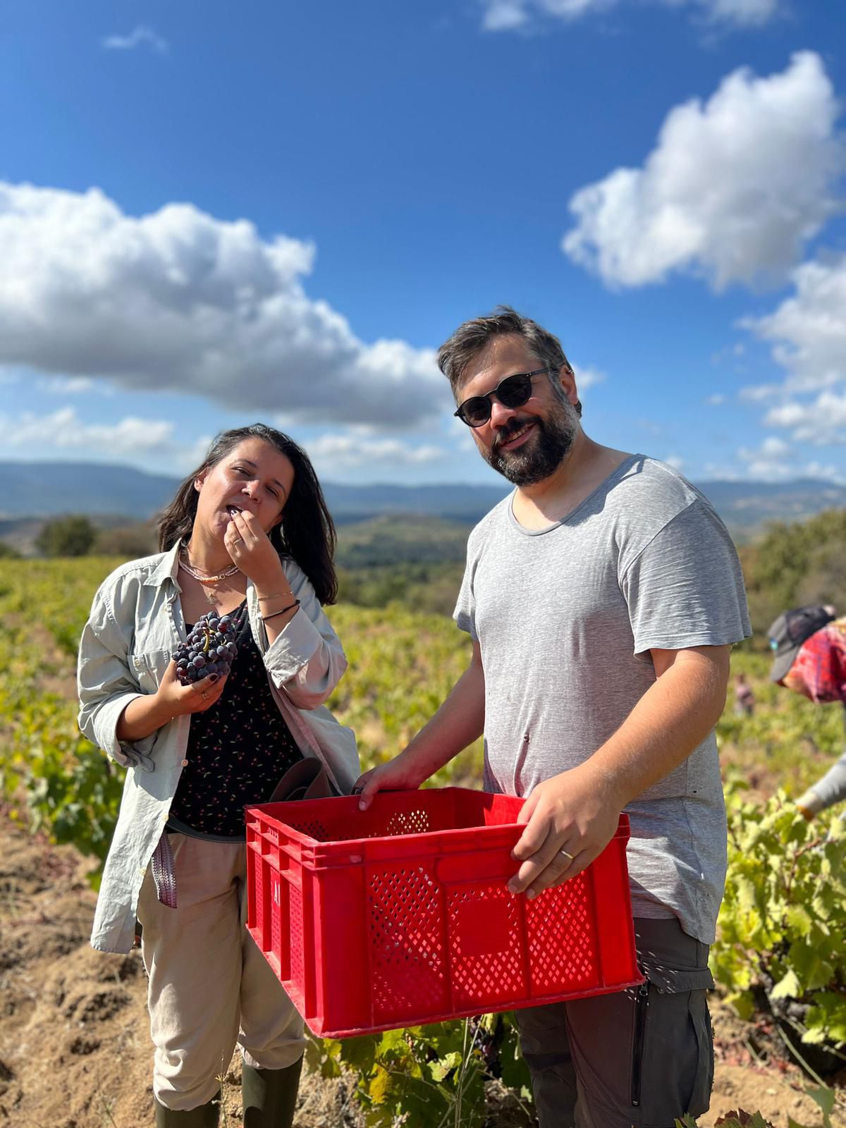 Yükselen Doğal Şarap Akımı