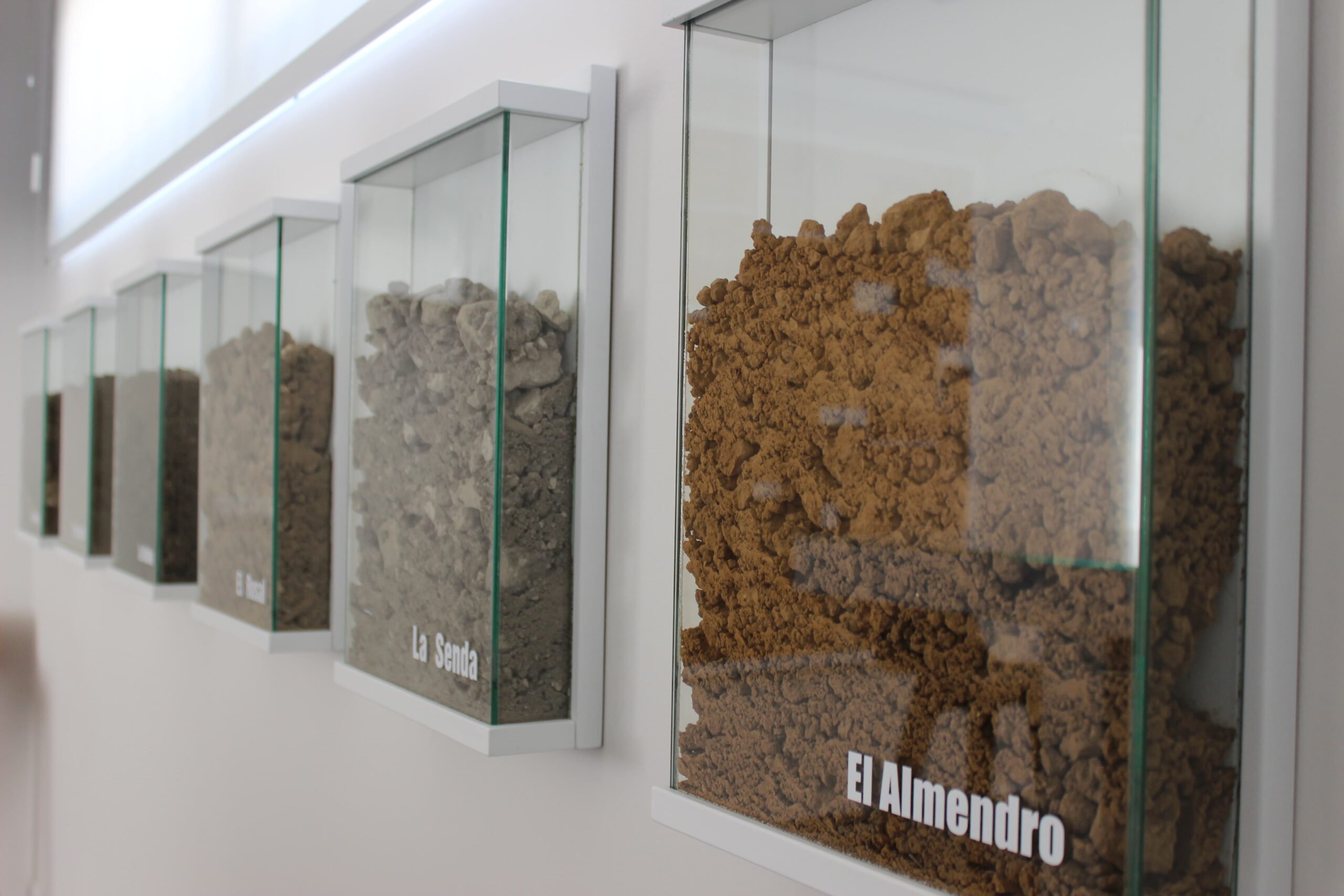 Yükselen Doğal Şarap Akımı