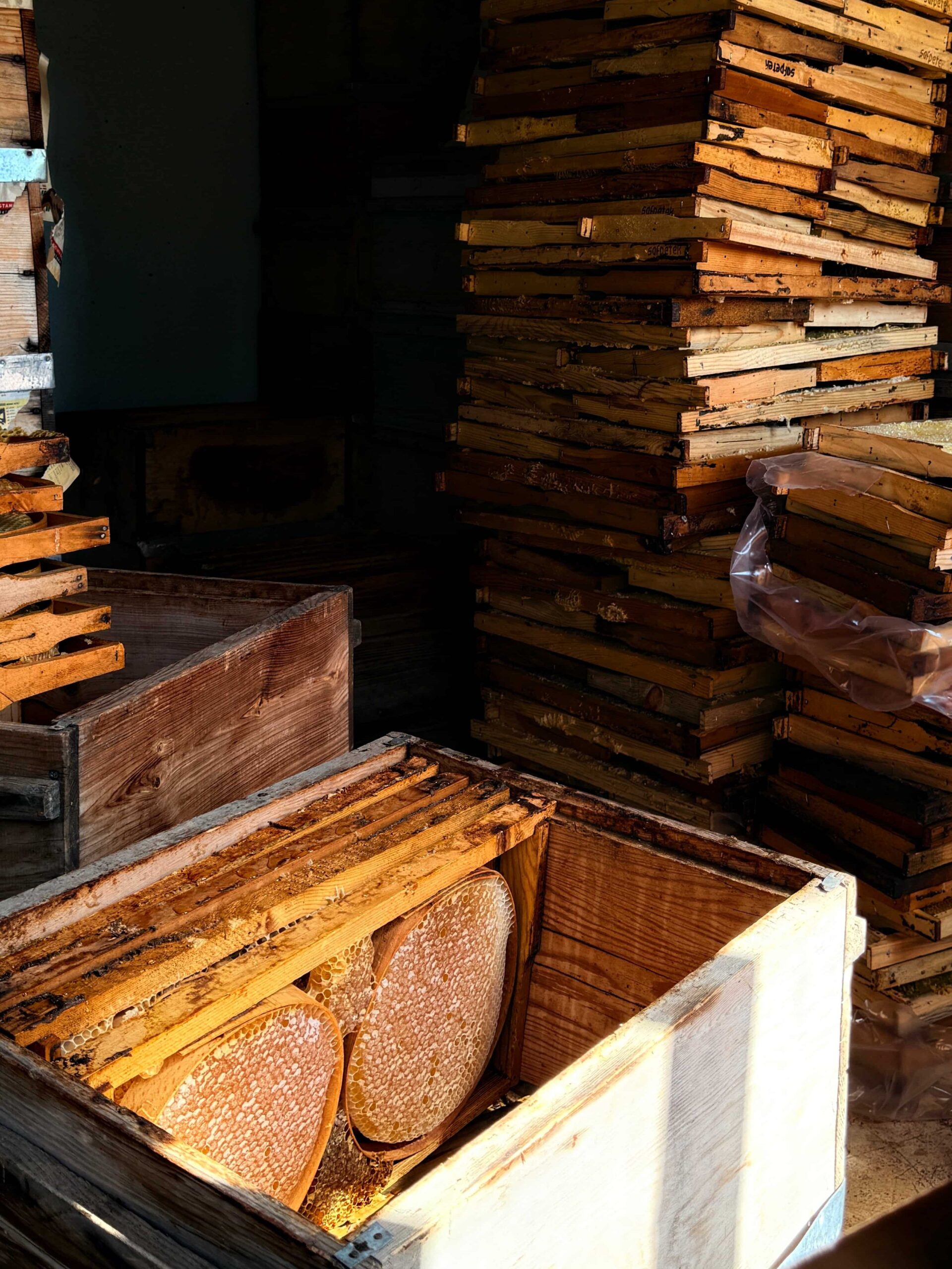 Munzur’un Ruhunu Taşıyan Bal: İksor