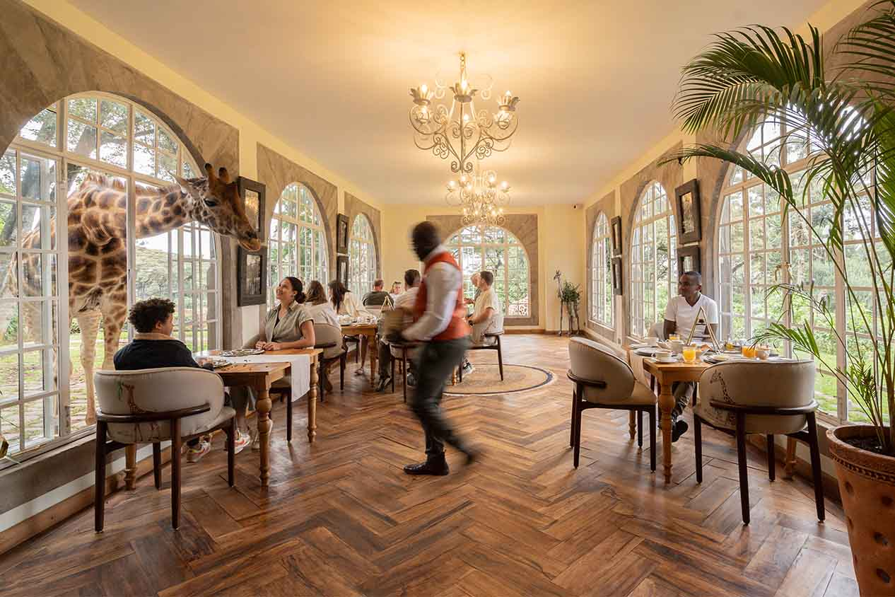 Escape To The Safari