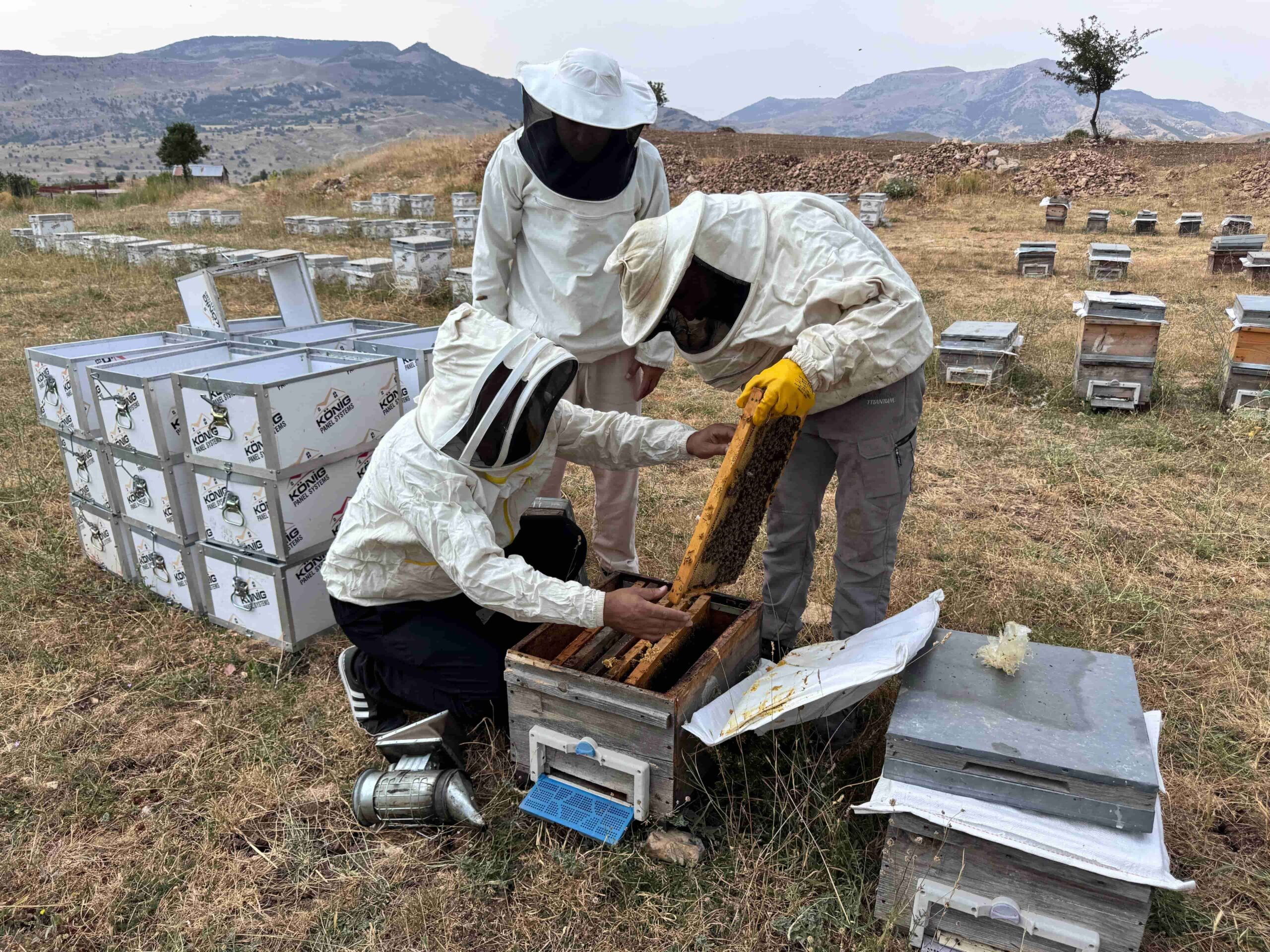 Munzur’s Soul-Carrying Honey: İksor