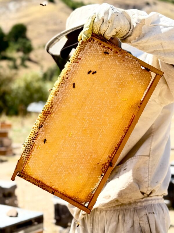 Munzur’s Soul-Carrying Honey: İksor
