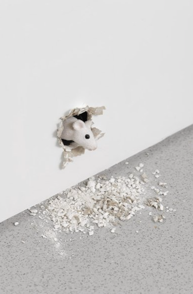 The Storyteller Of Everyday Life: Ryan Gander