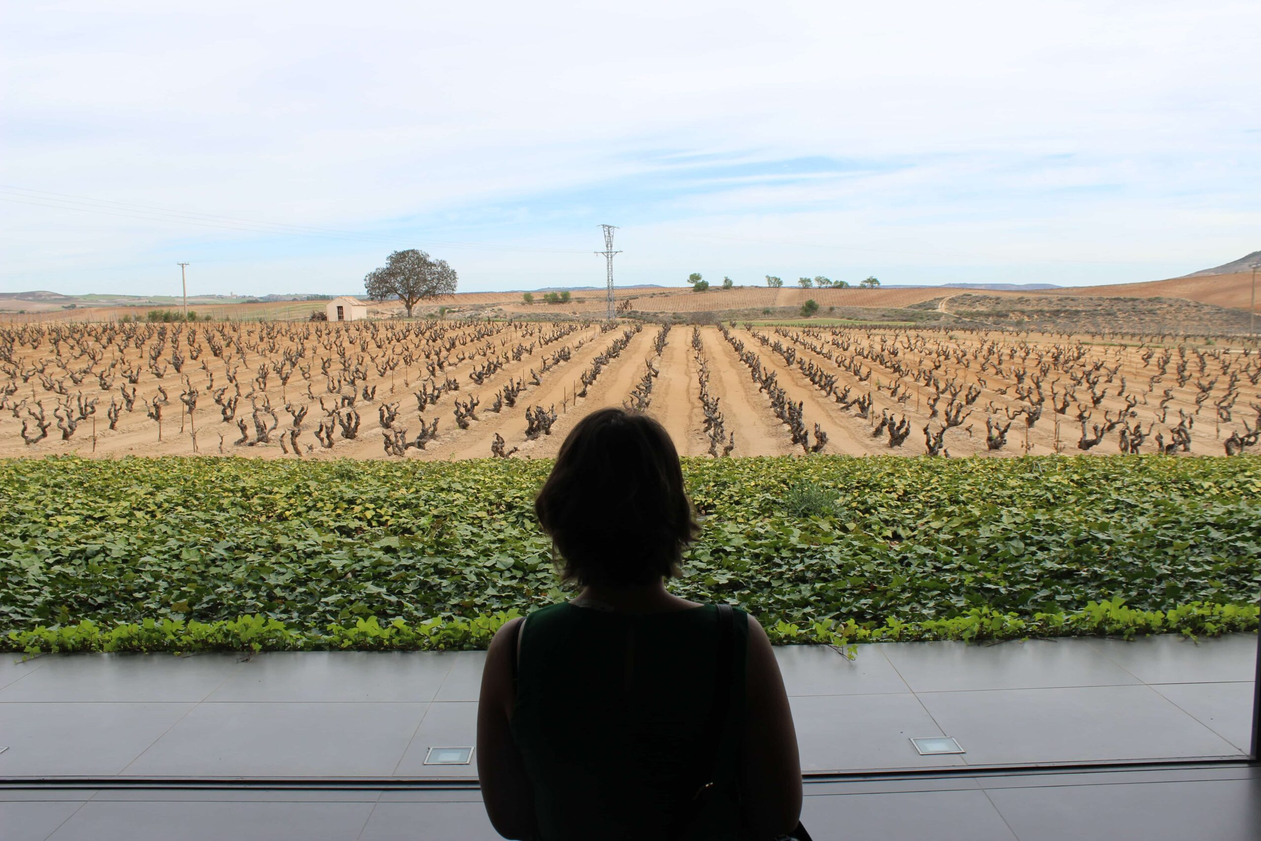 The Rising Natural Wine Movement