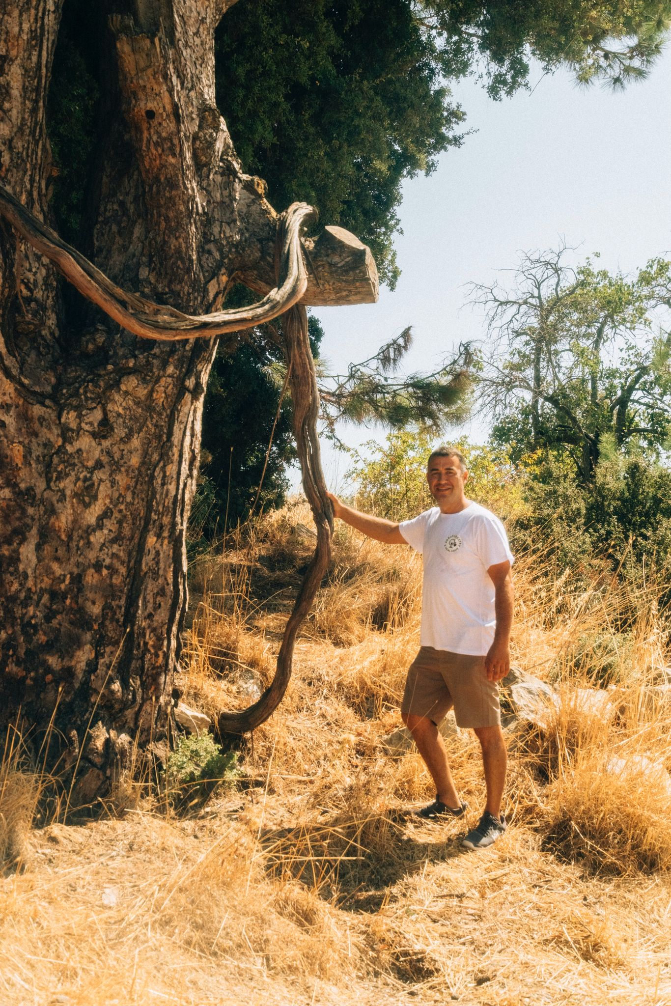 The Rising Natural Wine Movement