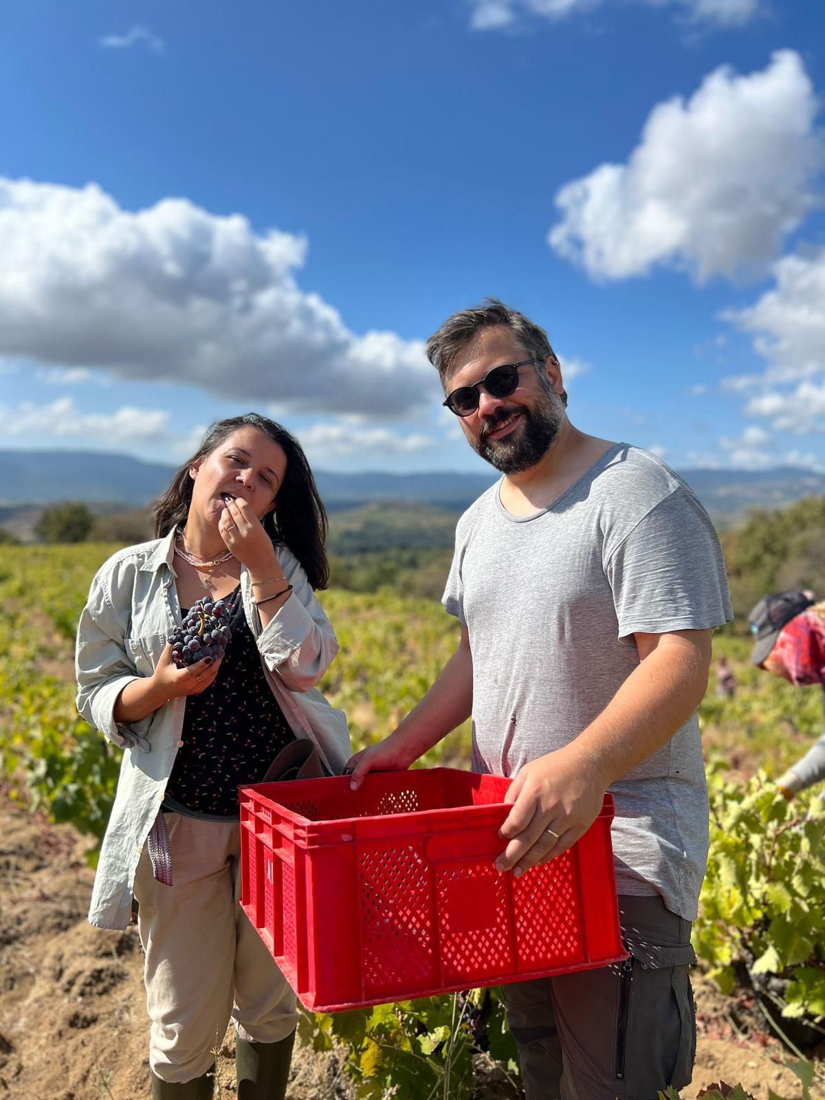 The Rising Natural Wine Movement