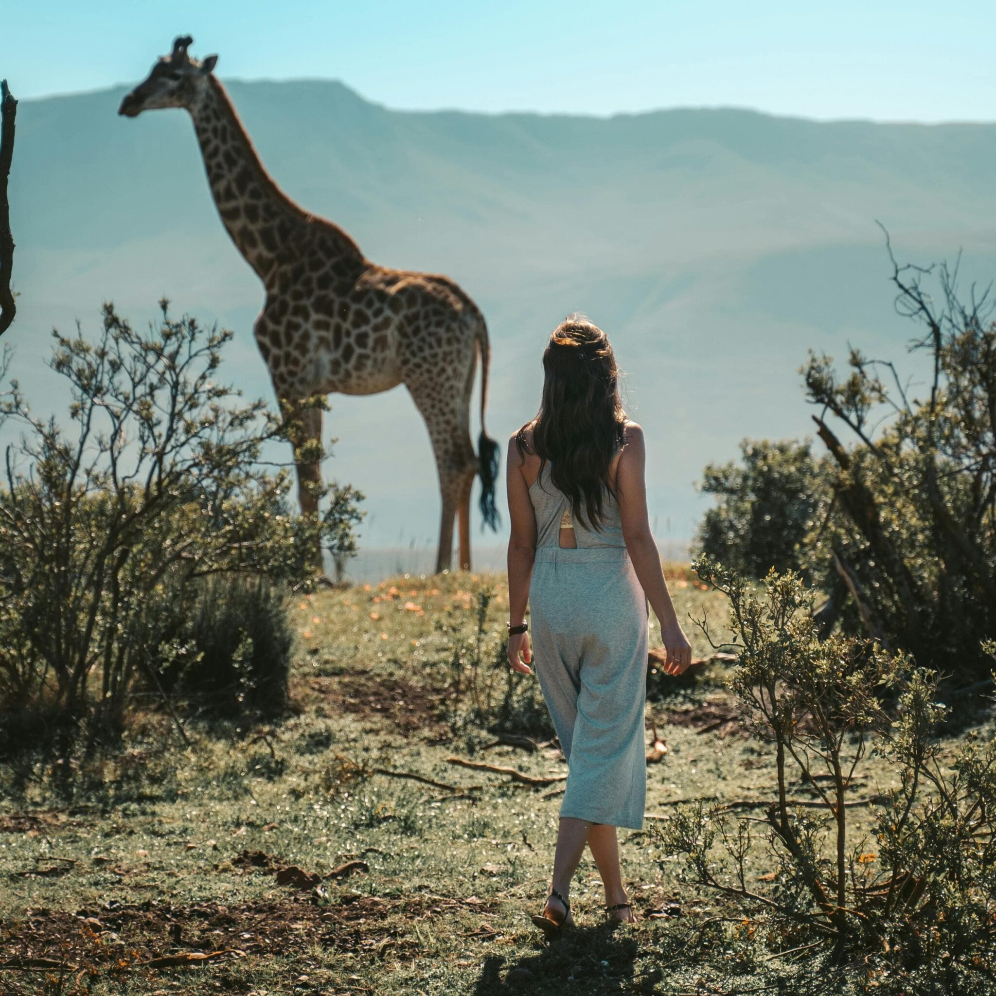 2026 Travel Trends 2026 Travel Trends