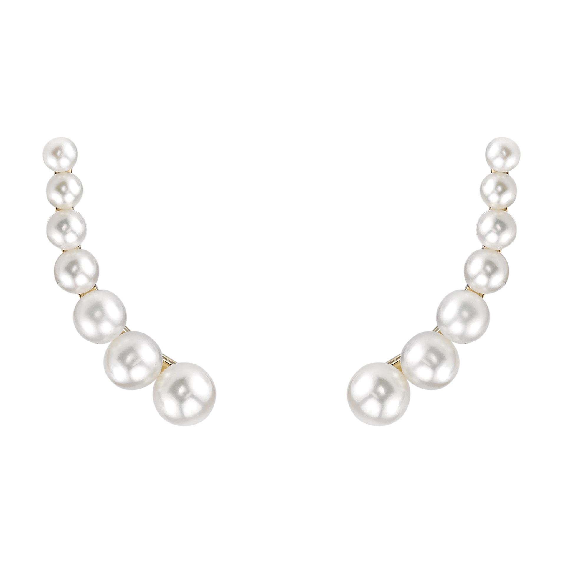 Rengin Sessizleşmesi Rengin Sessizleşmesi