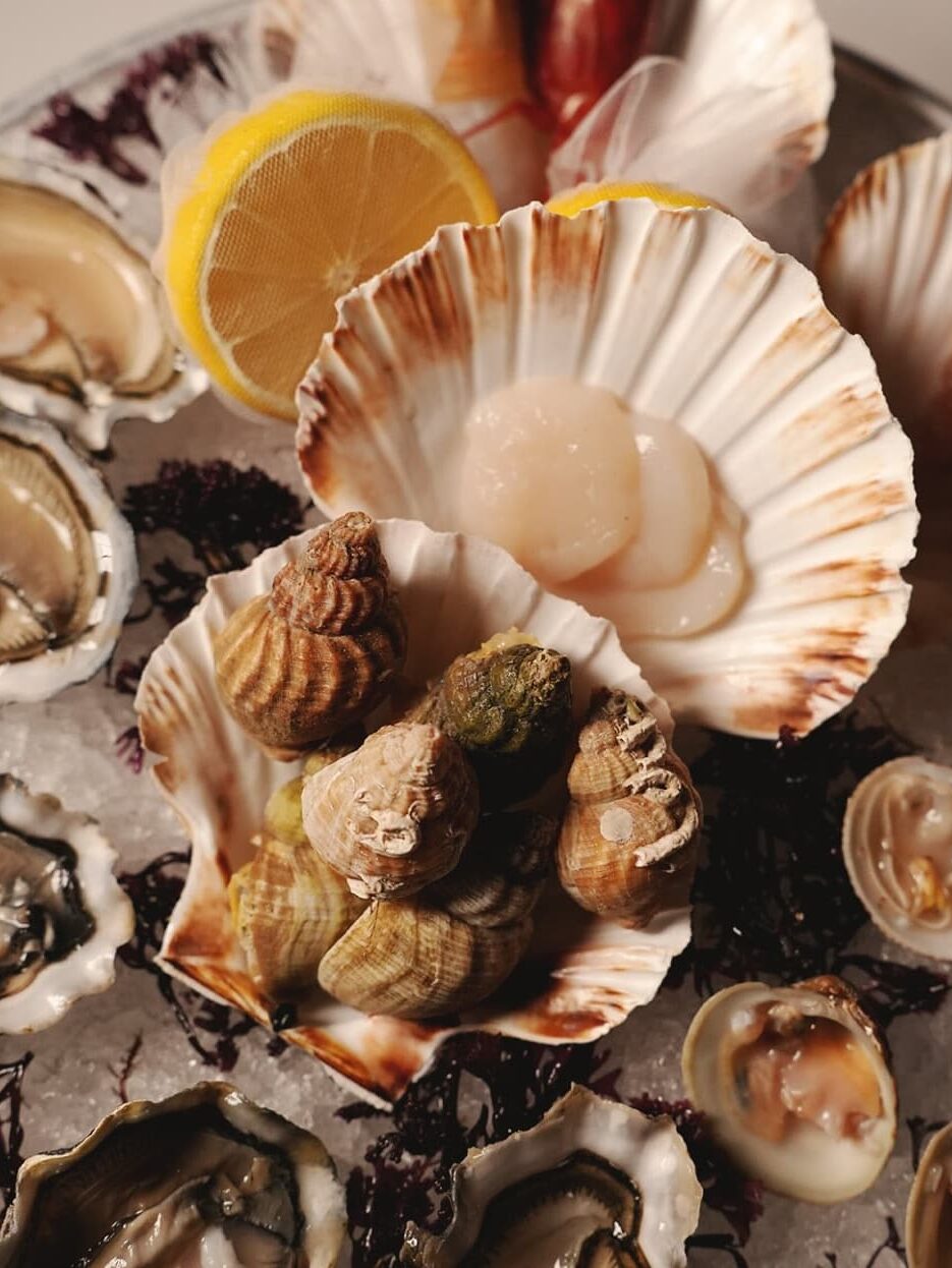 St. Moritz: Alplerin Kış Başkenti St. Moritz: Alplerin Kış Başkenti