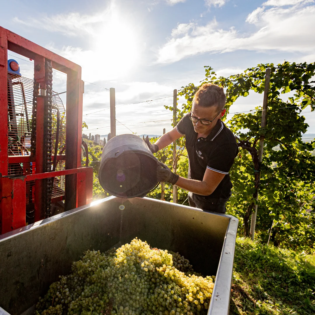 Yılbaşı Sofrası İçin Şarap Seçimi
