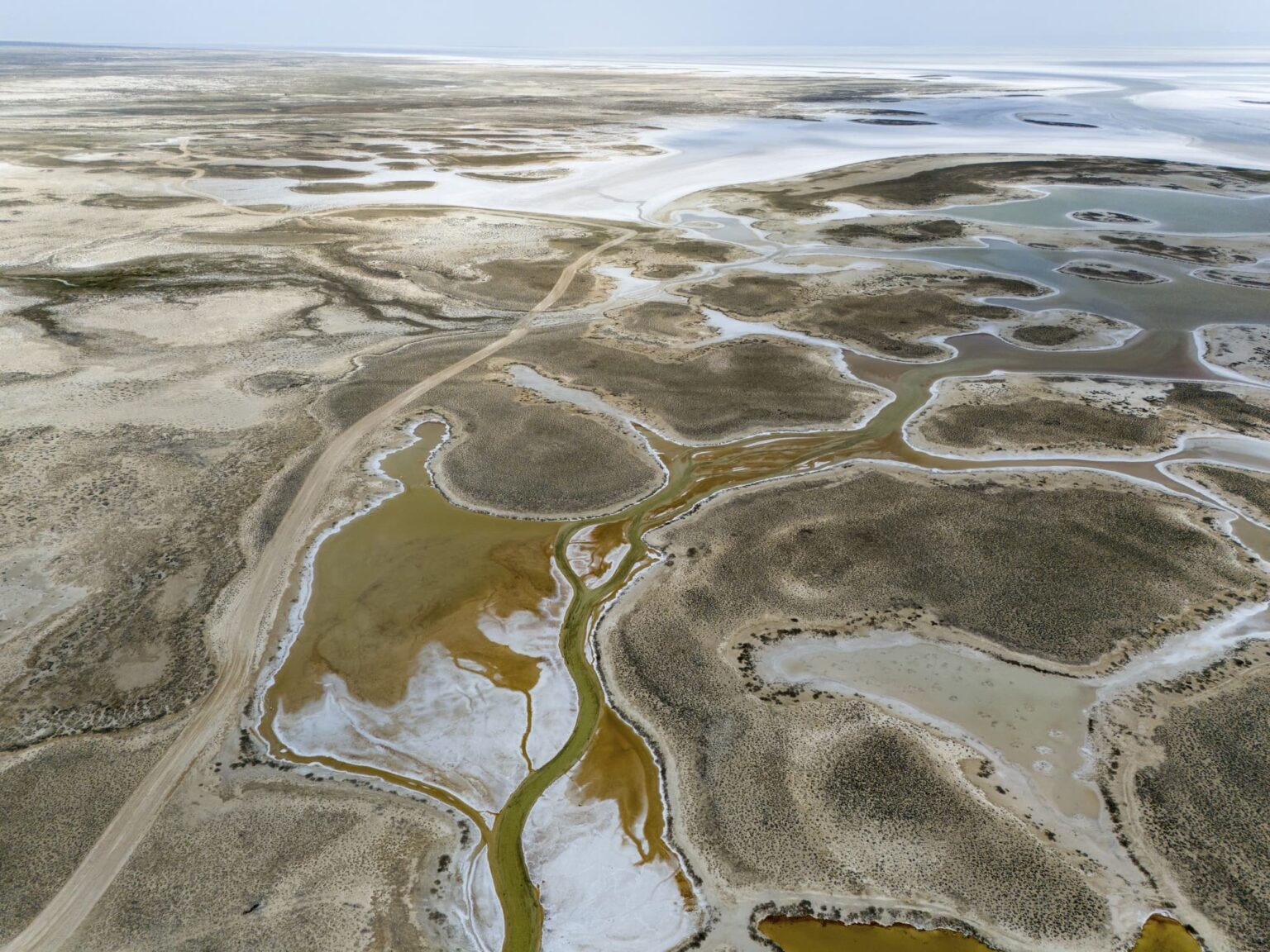 Utku Perktaş On The Anthropocene: The Planet'S Reckoning With Humankind