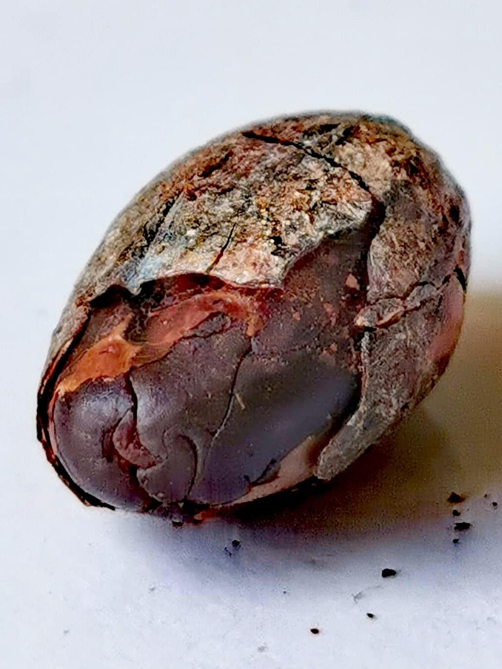 The Story Of The Cocoa Bean At O Atölye: Chocolate As An Ancient Craft