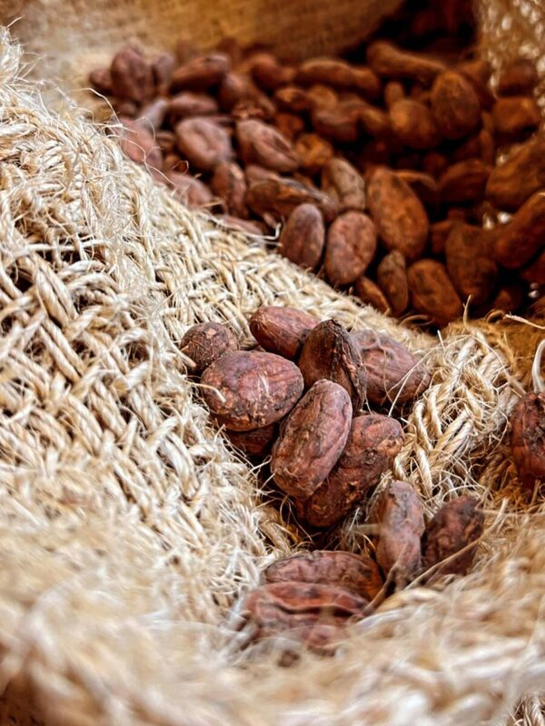 The Story Of The Cocoa Bean At O Atölye: Chocolate As An Ancient Craft
