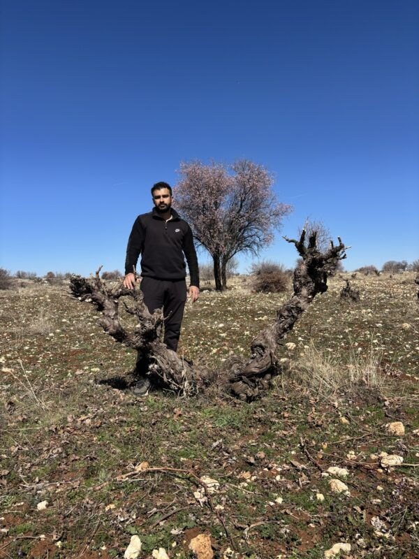 A 5,000-Year-Old Trace in Midin A 5,000-Year-Old Trace In Midin