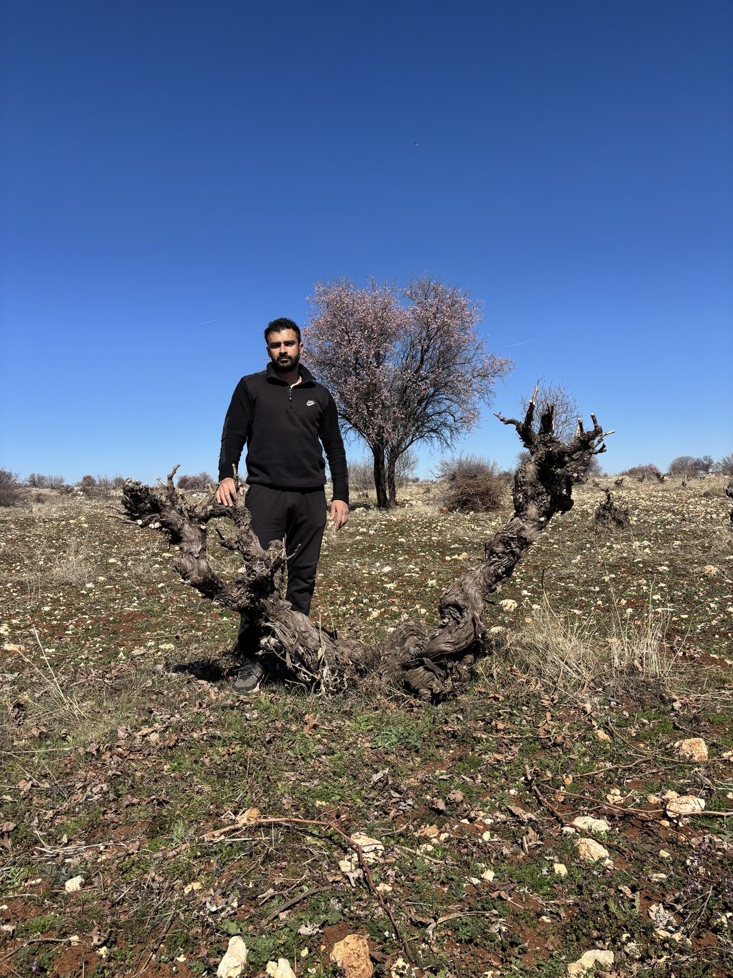 Midin’de 5000 Yıllık Bir İz