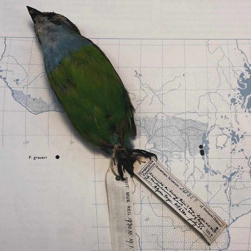 Utku Perktaş’la Antroposen: Gezegenin İnsanla Hesaplaşması Utku Perktaş’la Antroposen: Gezegenin İnsanla Hesaplaşması