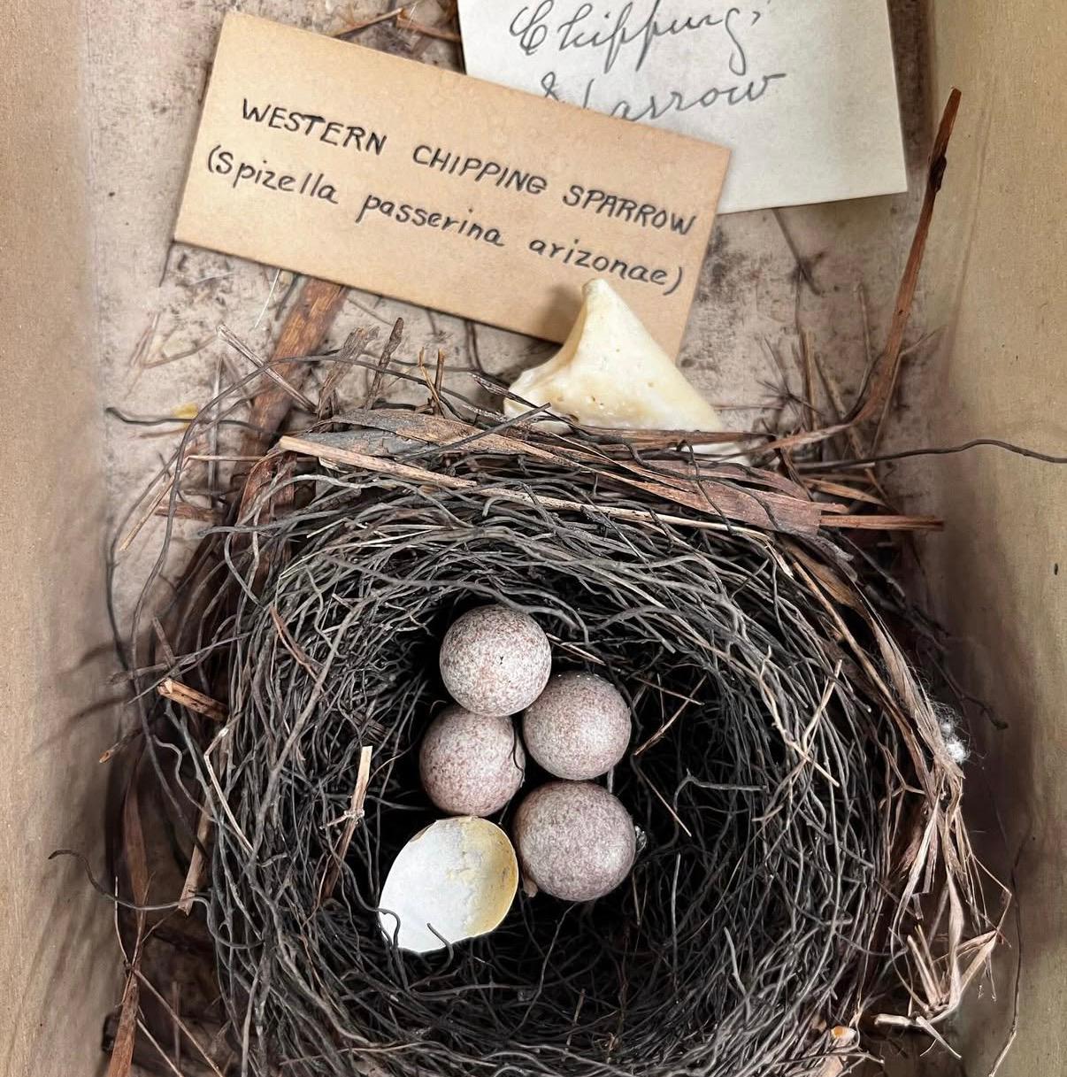 Utku Perktaş On The Anthropocene: The Planet'S Reckoning With Humankind