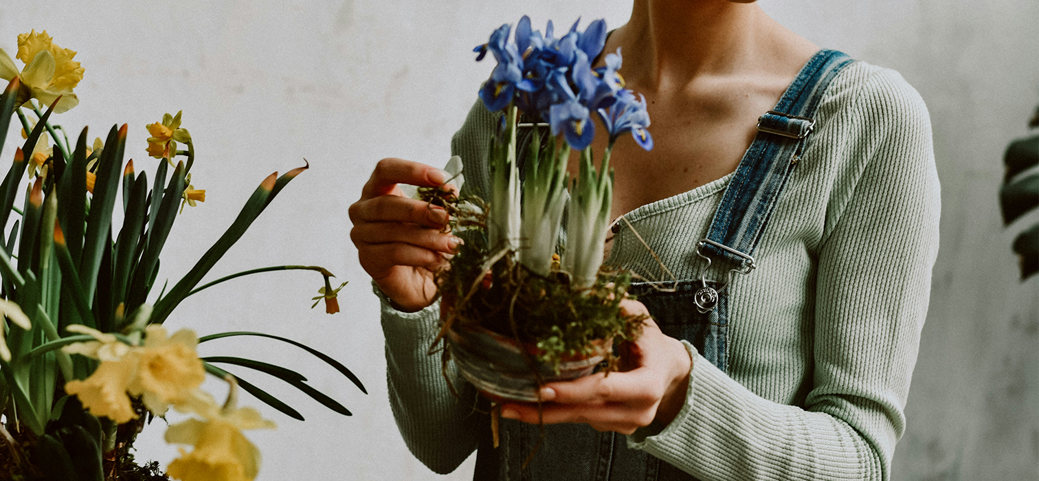 6 Adımda Ev Bitkilerine Kış Bakımı