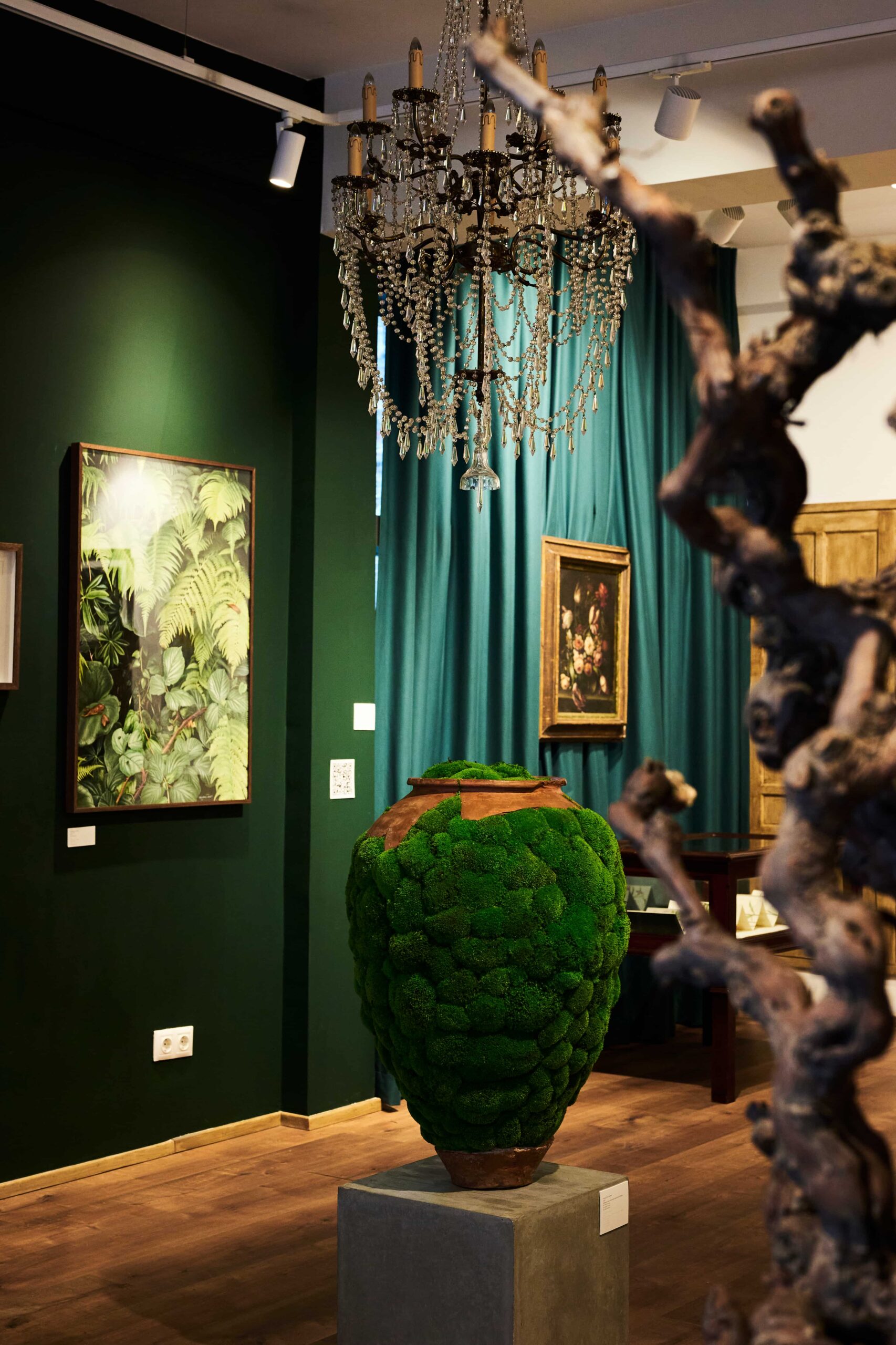 Hatırlamanın Yeşil Patikaları: Rooted: The Garden Within