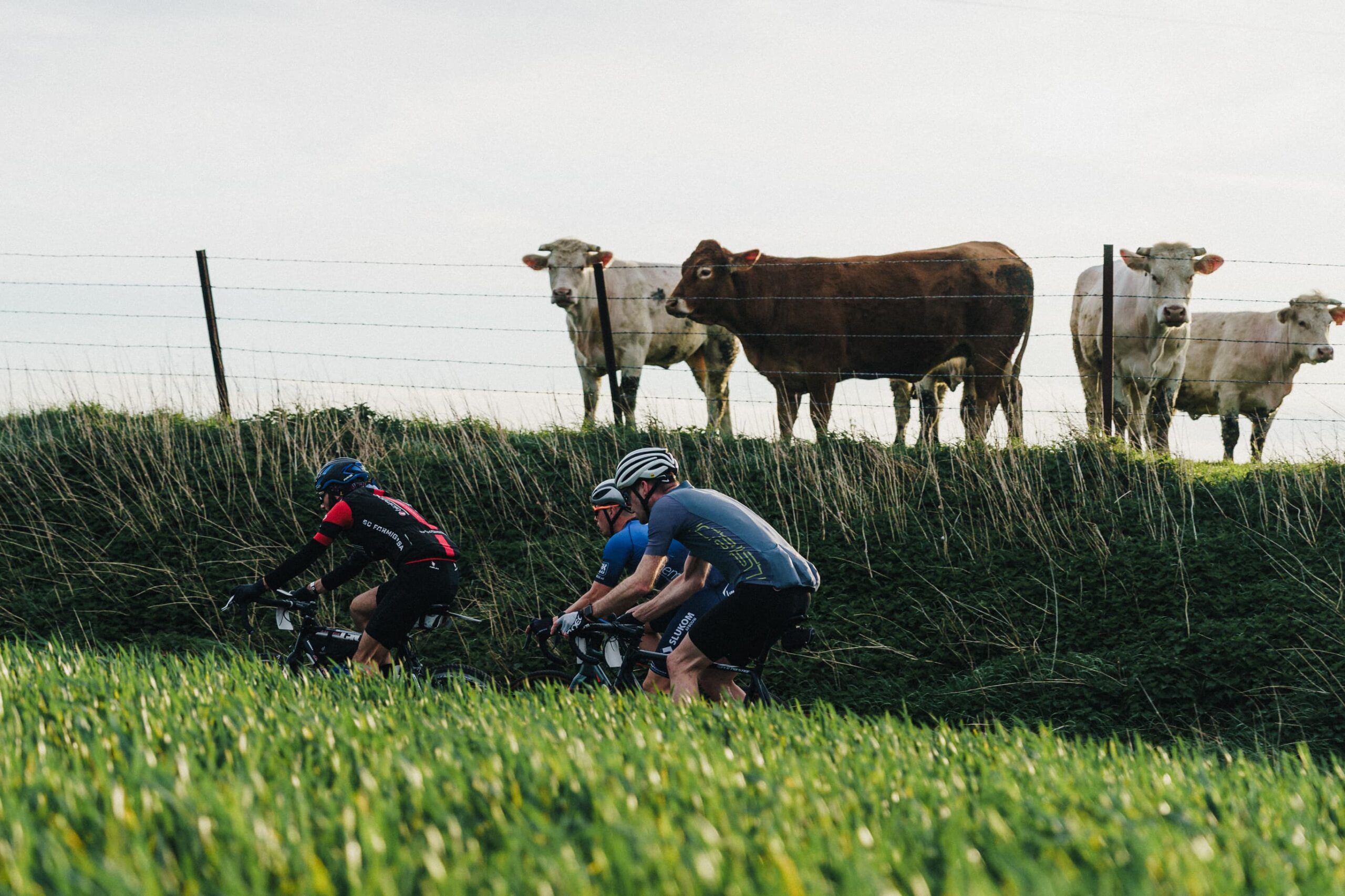 Dünyanın En Ünlü 10 Bisiklet Yarışı