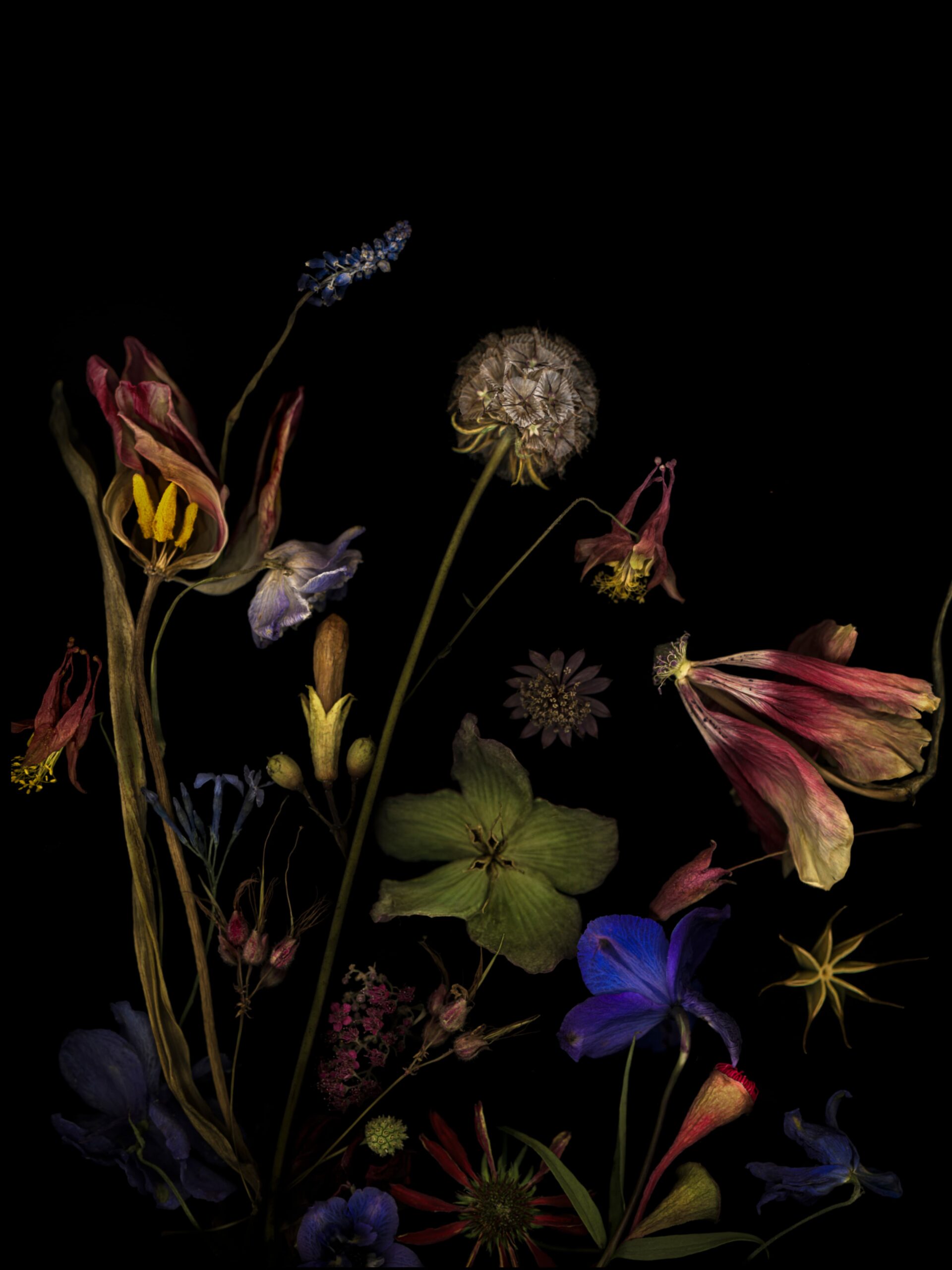 Hatırlamanın Yeşil Patikaları: Rooted: The Garden Within