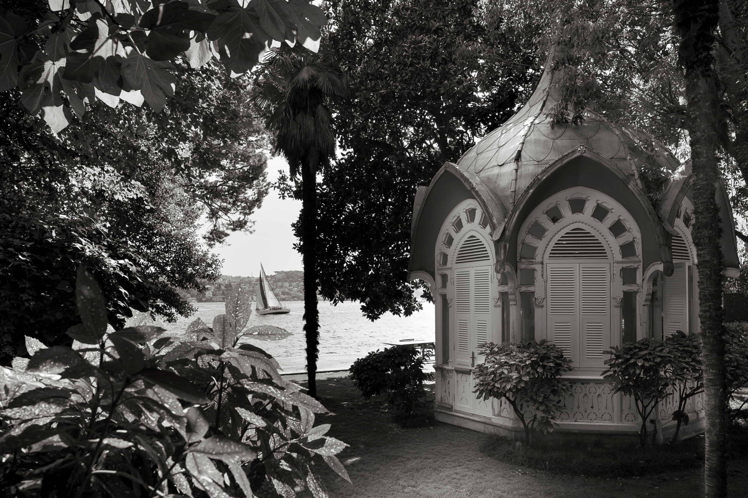 Hatırlamanın Yeşil Patikaları: Rooted: The Garden Within