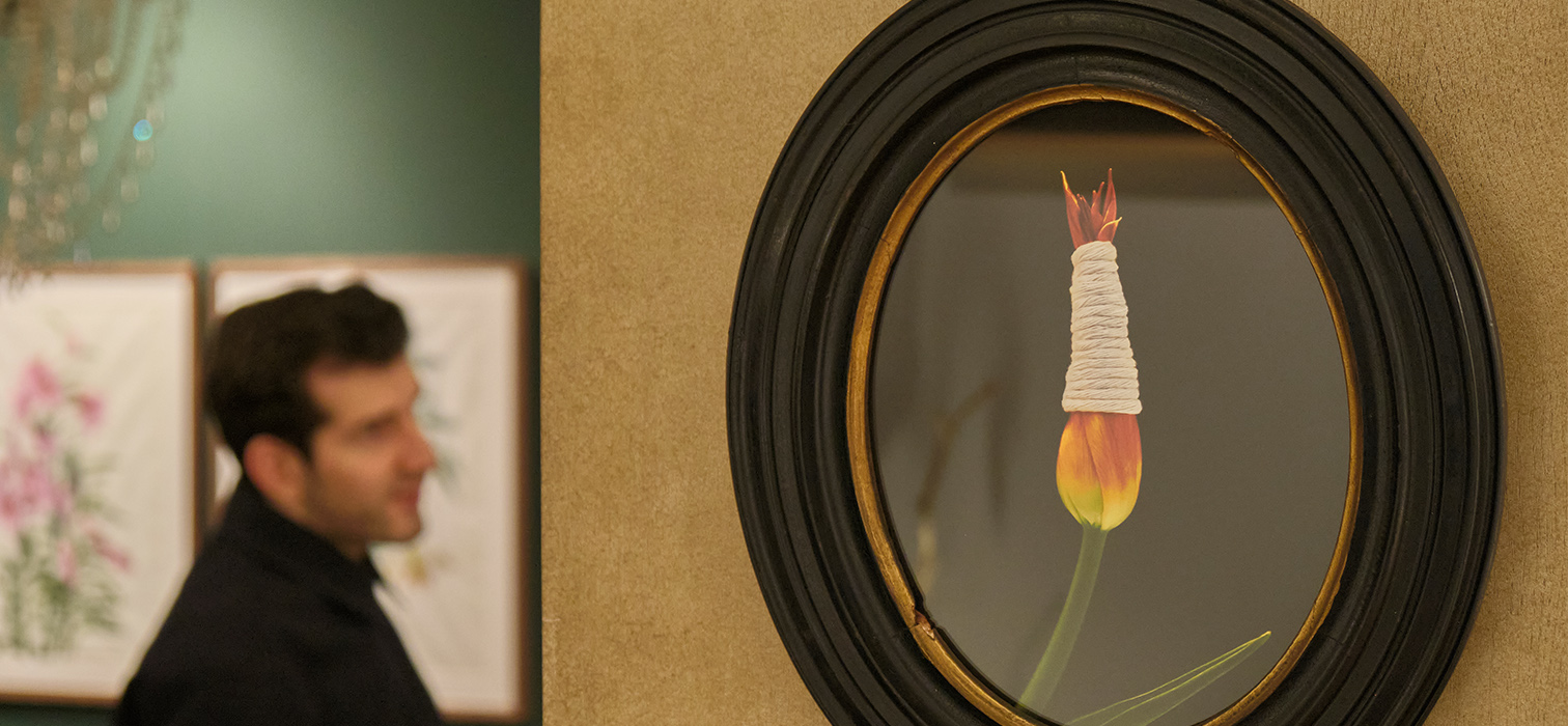 Hatırlamanın Yeşil Patikaları: Rooted: The Garden Within